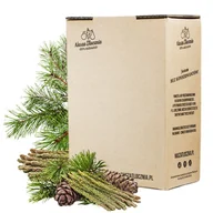 Syropy i koncentraty owocowe - Syrop z Pędów Sosny niskosłodzony 3kg - miniaturka - grafika 1