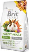 Karma dla gryzoni - Animals Brit BRIT Rabbit Adult Complete 300g 100007 - miniaturka - grafika 1