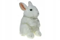 Maskotki i pluszaki - ZOO: maskotka KRÓLIK pr.uszy 13723 - 20cm biały - miniaturka - grafika 1
