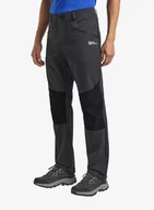 Spodnie narciarskie - Spodnie turystyczne Jack Wolfskin Hiking Alpine Pants - phantom - miniaturka - grafika 1