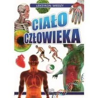 Encyklopedie i leksykony - Arti Leksykon wiedzy. Ciało człowieka praca zbiorowa - miniaturka - grafika 1