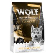 Sucha karma dla psów - Wolf of Wilderness Junior "Rocky Canyons", wołowina z wolnego wybiegu - bez zbóż - 300 g - miniaturka - grafika 1