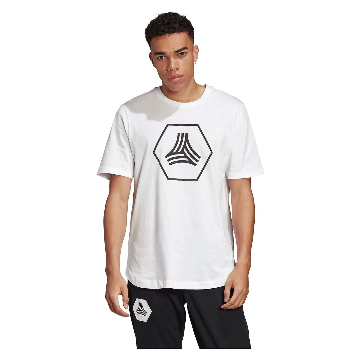 Adidas, Koszulka męska, Tan Big Logo FJ6340, biały, rozmiar S - Ceny i  opinie na Skapiec.pl