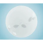 Lampy sufitowe - Eglo MARS - LAMPA ŚCIENNO-SUFITOWA - 80264 - miniaturka - grafika 1