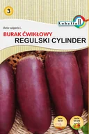 Nasiona i cebule - Burak ćw.Regulski Cylinder nasiona 10g / L / - miniaturka - grafika 1