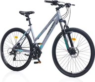 Rowery - BIKE CITY 28 ALUMINUM 21V GREY WOMEN - miniaturka - grafika 1