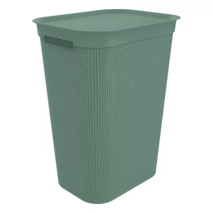 Plastikowy kosz na pranie 50 l Brisen – Rotho - Kosze na bieliznę - miniaturka - grafika 1