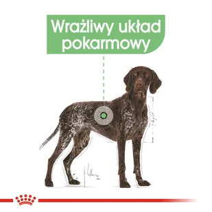 Royal Canin (ROYBJ) karma dla psów Digestive Care, 3 kg 012033 - Suplementy i witaminy dla psów - miniaturka - grafika 4