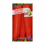 Nasiona i cebule - Marchew Flakkese 2 późna 5g / O / - miniaturka - grafika 1