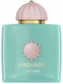 Wody i perfumy męskie - Amouage Odyssey Lineage woda perfumowana 100 ml - miniaturka - grafika 1