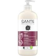 Szampony do włosów - Sante Naturkosmetik FAMILY Szampon nadający połysk z bio-liściem brzozy 500ml 173/40335 - miniaturka - grafika 1