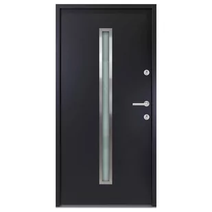 Drzwi wejściowe, antracytowe, 100x200 cm, aluminiu - Zabezpieczenia dla dzieci - miniaturka - grafika 1