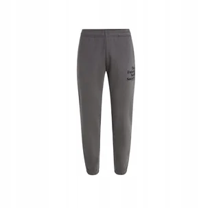 Męskie Spodnie FUTURE SURF SOCIETY JOGGER M - Dresy męskie - miniaturka - grafika 1