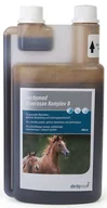 Akcesoria jeździeckie - Animedica AniMedica Derbymed Viverosan Komplex B 1l 32942-uniw - miniaturka - grafika 1