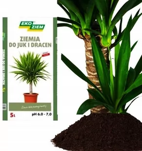 Ziemia Specjalna Do Palm Juk I Dracen Podłoże 5 L - Ziemia ogrodowa - miniaturka - grafika 1