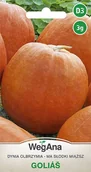Nasiona i cebule - Dynia olbrzymia Golias 3g nasiona - WegAna - miniaturka - grafika 1