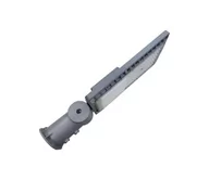 Lampy ogrodowe - LED Lampa uliczna LED/100W/230V 5000K - miniaturka - grafika 1