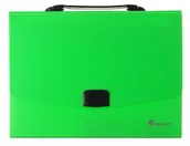 Artykuły biurowe - Hasta Teczka z Raczka PCV A4/40mm 12przegr Fluo zielony Fo - miniaturka - grafika 1