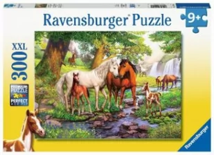 Ravensburger Verlag Wildpferde am Fluss - Pozostałe książki - miniaturka - grafika 2