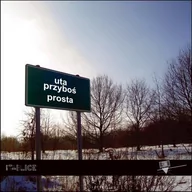 Poezja - Forma Prosta - miniaturka - grafika 1