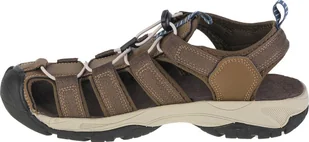 CMP CMP Sahiph Hiking Sandal 30Q9517-P961 Brązowe 43 - Sandały męskie - miniaturka - grafika 1