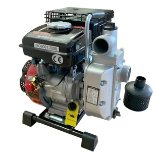 MOTOPOMPA CIŚNIENIOWA WEIMA WMQGZ40-20 - Pompy wodne - miniaturka - grafika 5