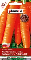Nasiona i cebule - NASIONA Marchew Jadalna Berlikumer 2 - Perfekcja GOF 6g PLANTICO 403154 - miniaturka - grafika 1