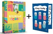 Edukacja przedszkolna - Superpakiet Kolorowe karty. Poziom B. + Klaser na Litery i liczby - miniaturka - grafika 1