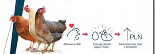 Harmonix Red Mite zwalczanie ptaszyńca ptaszyniec - Witaminy i odżywki dla ptaków - miniaturka - grafika 1