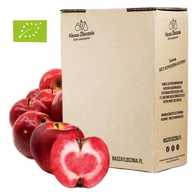 Soki i napoje niegazowane - Sok 100% Tłoczony na zimno EKO Jabłko Czerwone dla alergików Vegan 24h 3L - miniaturka - grafika 1