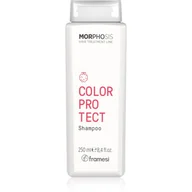 Szampony do włosów - Framesi Morphosis Color Protect szampon do włosów normalnych i cienkich chroniąca kolor 250 ml - miniaturka - grafika 1