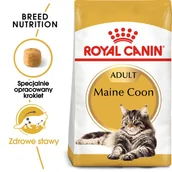 Mokra karma dla kotów - Royal Canin bytówka ROYAL CANIN Maine Coon Adult 31 4kg + Pojemnik na karmę Curver 10l 4kg 234820 - miniaturka - grafika 1
