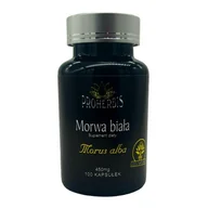 Suplementy naturalne - Proherbis Morwa Biała 100 k - miniaturka - grafika 1