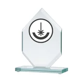 Gadżety dla kibiców - Trofeum szklane grawerowane - miniaturka - grafika 1