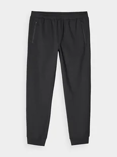 4F Spodnie sportowe w kolorze czarnym - Spodnie sportowe męskie - miniaturka - grafika 1