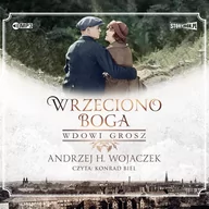 Audiobooki - literatura piękna - Wdowi grosz Audiobook CD MP3 - miniaturka - grafika 1