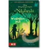 Powieści i opowiadania - Zielona Sowa Pewnego razu w Nibylandii 6 W odległym lesie - Thorpe Kiki - miniaturka - grafika 1