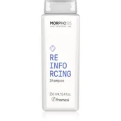 Szampony do włosów - Framesi Morphosis Reinforcing szampon stymulujący wzrost włosów i zapobiegający ich wypadaniu do tłustej skóry głowy 250 ml - miniaturka - grafika 1