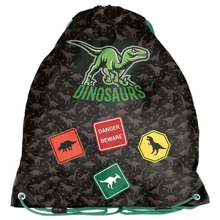 Worek na obuwie Dinozaur PP25DI-712 - Worki na buty - miniaturka - grafika 1