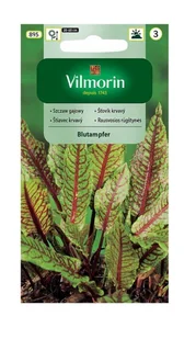 Szczaw gajowy Blutampfer 0,2 g Vilmorin - Nasiona i cebule - miniaturka - grafika 1