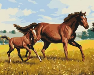 Obraz Malowanie po numerach - Rodzinny galop - Malowanie po numerach - miniaturka - grafika 1