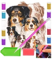 Zabawki kreatywne - Haft diamentowy PIES RASA OWCZAREK AUSTRALIJSKI 30x40 OBRAZ duży zabawki kreatywne plastyczne - miniaturka - grafika 1