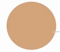 Korektory do twarzy - KRYOLAN Basic Face & Body korektor kryjący cienie pod oczami z pędzelkiem odcień 1 - miniaturka - grafika 1