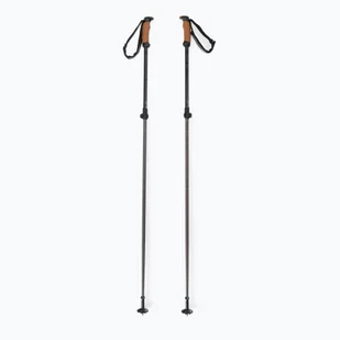 Kije narciarskie Elan Voyager Rod czarne CD907620 - Kijki narciarskie - miniaturka - grafika 1