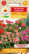 Nasiona i cebule - Pelargonia rabatowa mix kolorów nasiona 0,1g Toraf - miniaturka - grafika 1