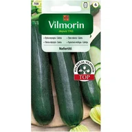 Nasiona i cebule - Dynia cukinia NEFERTITI 3g średnio wczesna - miniaturka - grafika 1