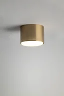 Lampy sufitowe - Tubo H5,5 lampa sufitowa 1xGX53 złota 40848 - miniaturka - grafika 1