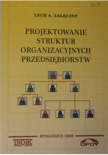 Projektowanie struktur organizacyjnych przedsiębiorstw - Biznes - miniaturka - grafika 1