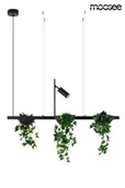 Lampy sufitowe - MOOSEE lampa wisząca PLANT LINE czarna - miniaturka - grafika 1