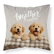 Pościel dla dzieci - Detexpol Poszewka dekoracyjna 40x40 dwa szczeniaki "Together forever" MF034 A poszewka 3D z motywem piesków - Fun Dreams - miniaturka - grafika 1